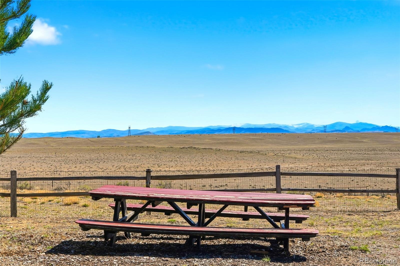 MLS Image #6 for 506 w county road 84 ,wellington, Colorado