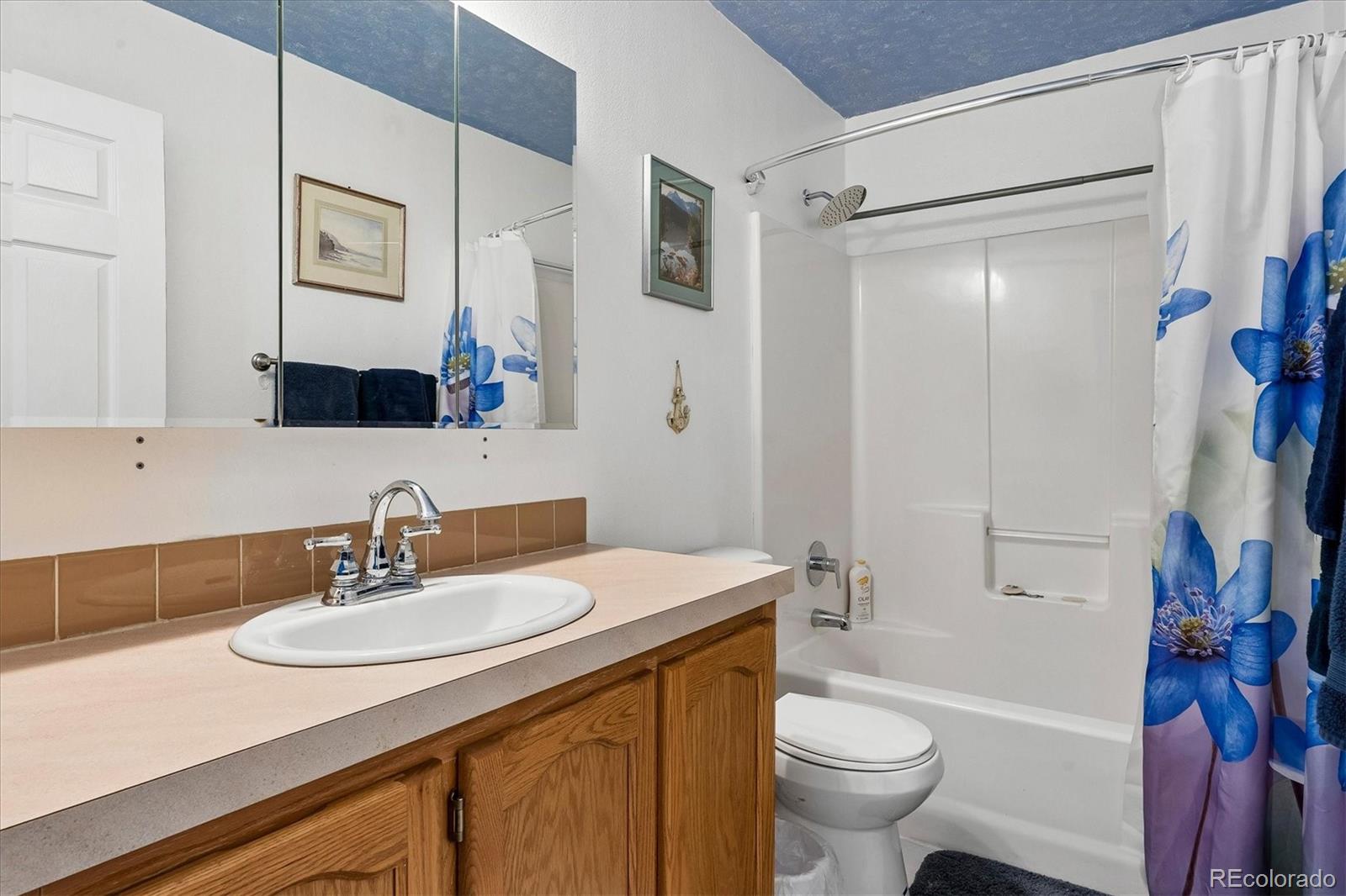 MLS Image #15 for 498  dakota street,kiowa, Colorado