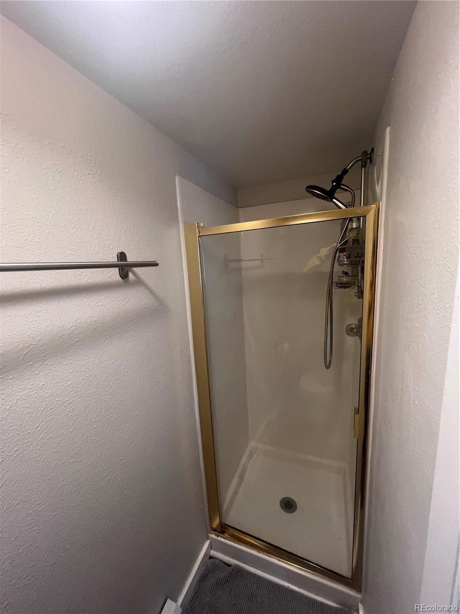 MLS Image #11 for 9876  ryan gulch road,silverthorne, Colorado