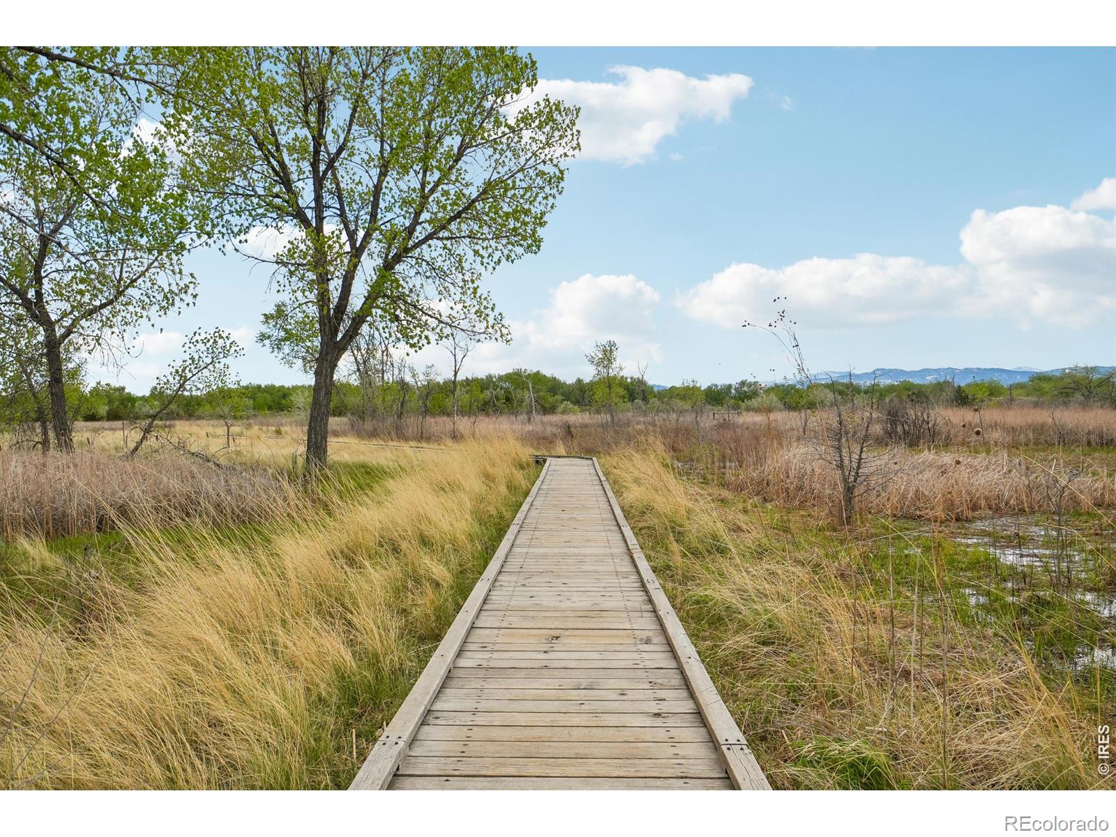 MLS Image #38 for 800  countryside drive,fort collins, Colorado