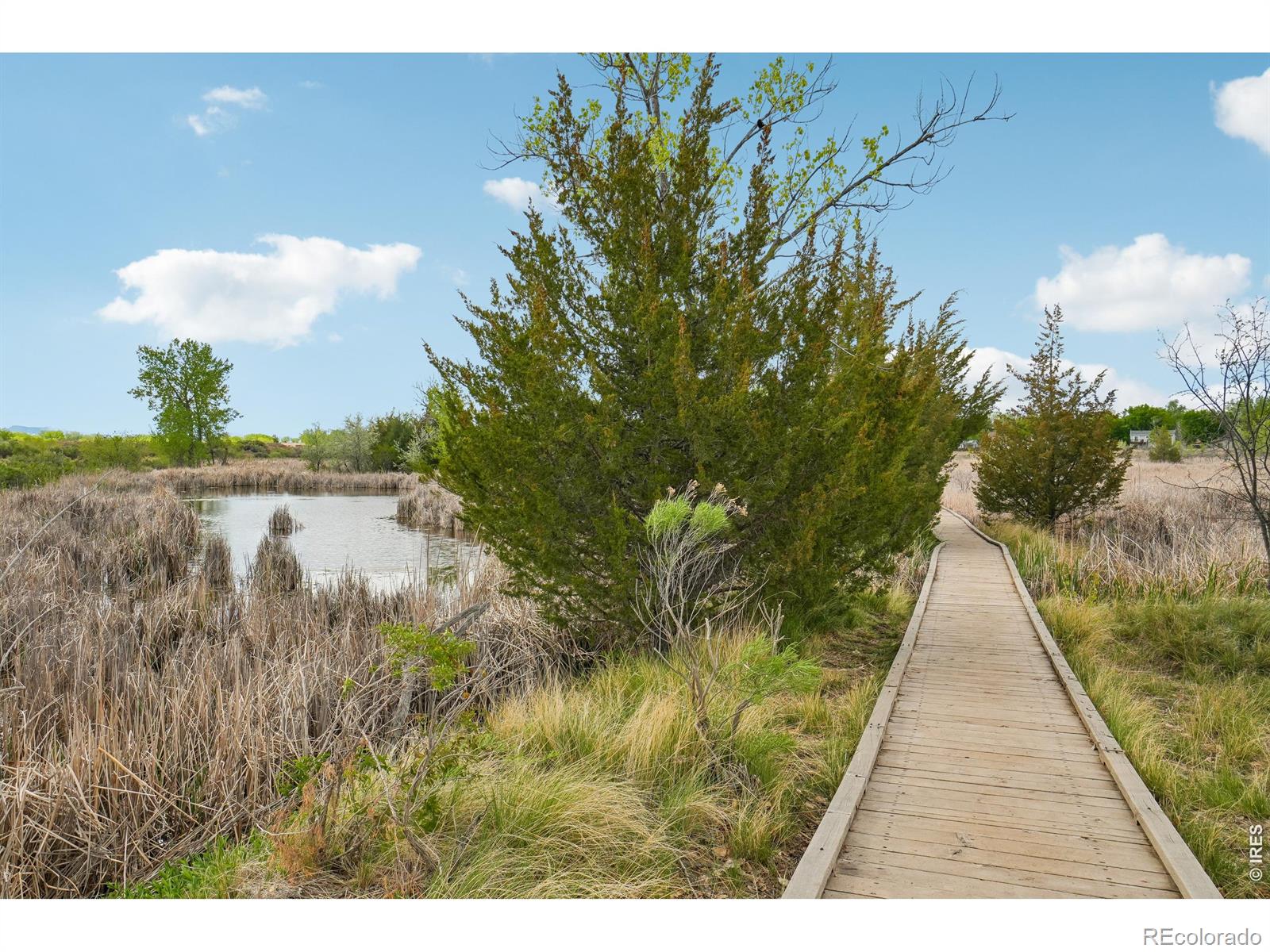 MLS Image #39 for 800  countryside drive,fort collins, Colorado