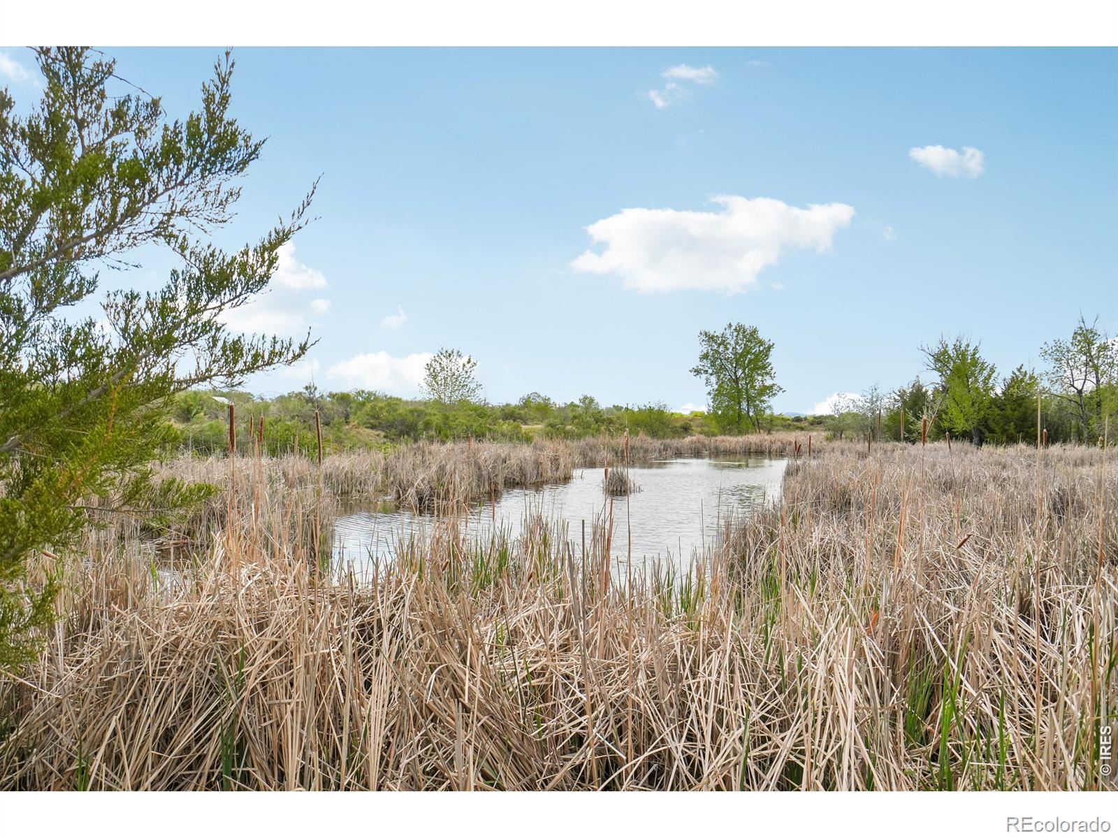 MLS Image #40 for 800  countryside drive,fort collins, Colorado