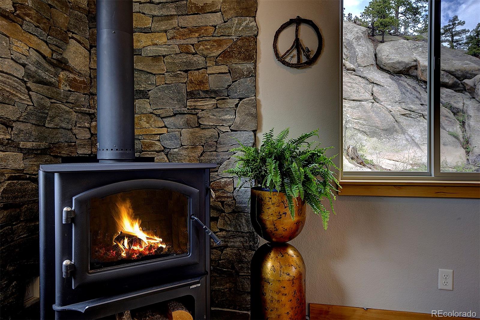 MLS Image #9 for 8621  majestic view drive,conifer, Colorado