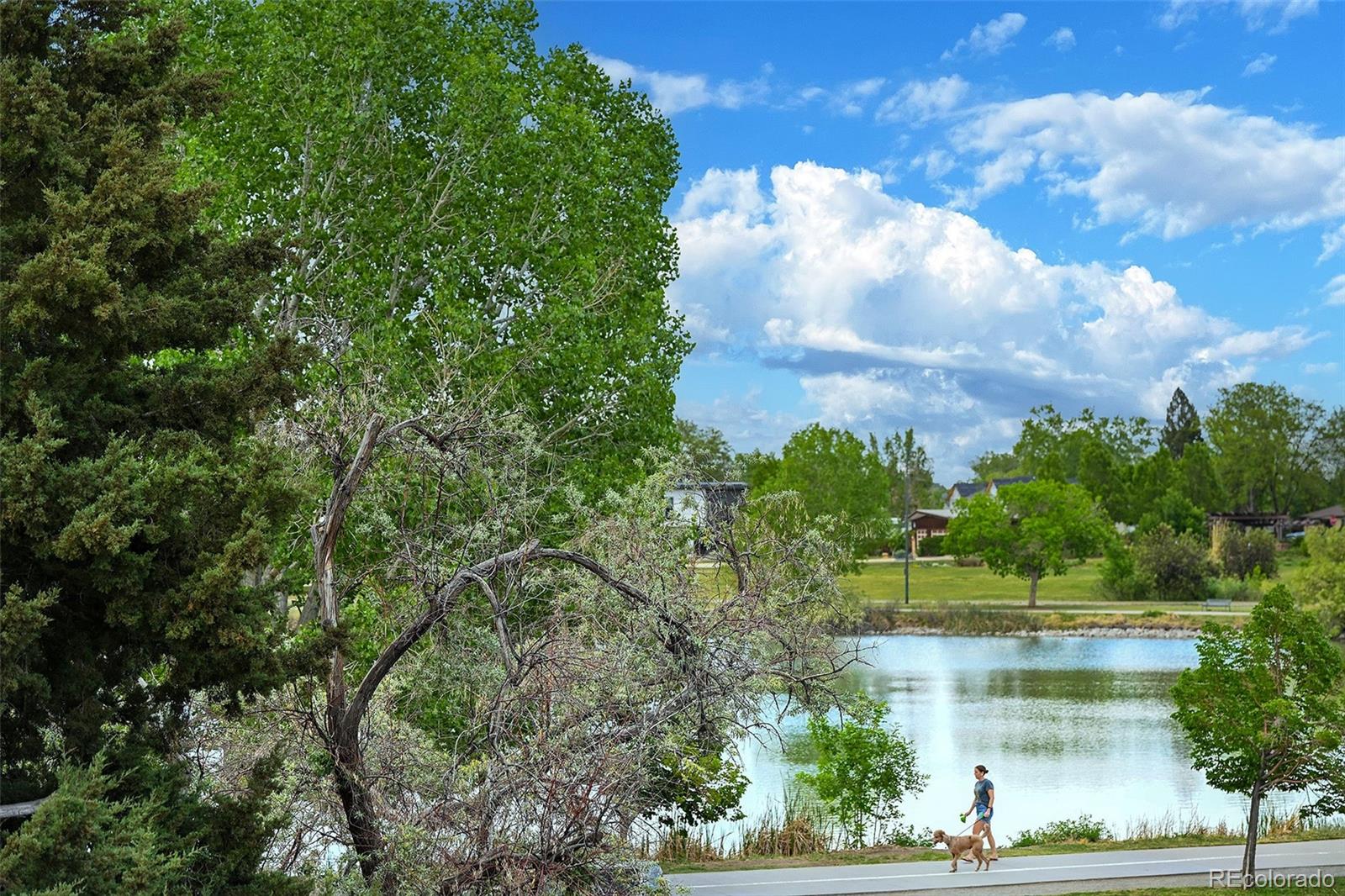 MLS Image #25 for 1639  osceola street,denver, Colorado