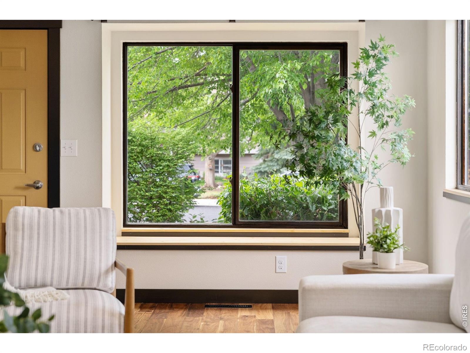 MLS Image #6 for 2507  powell place,fort collins, Colorado