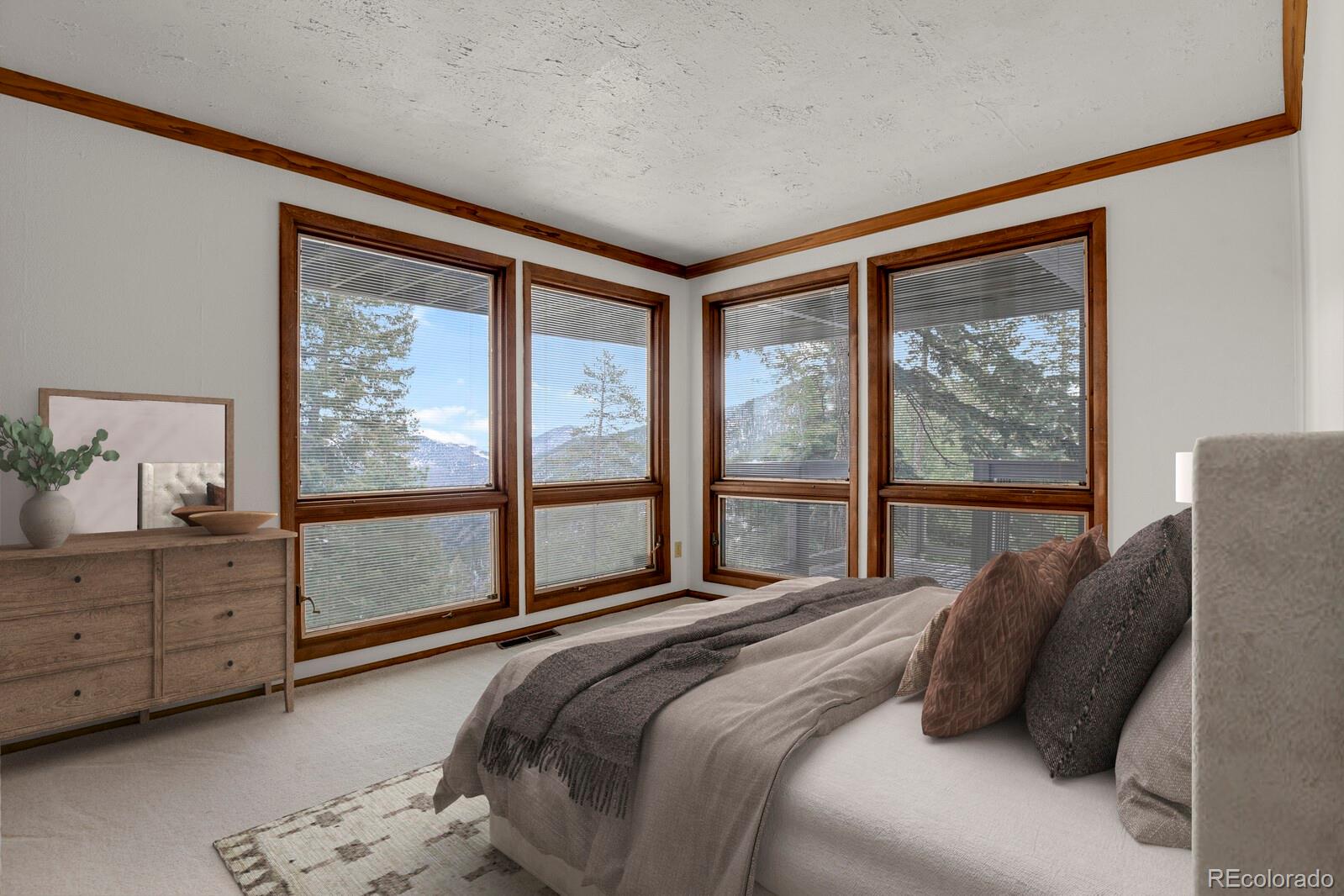 MLS Image #15 for 1145  saddleback drive,evergreen, Colorado