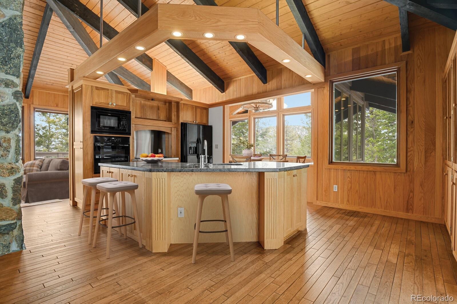 MLS Image #8 for 1145  saddleback drive,evergreen, Colorado