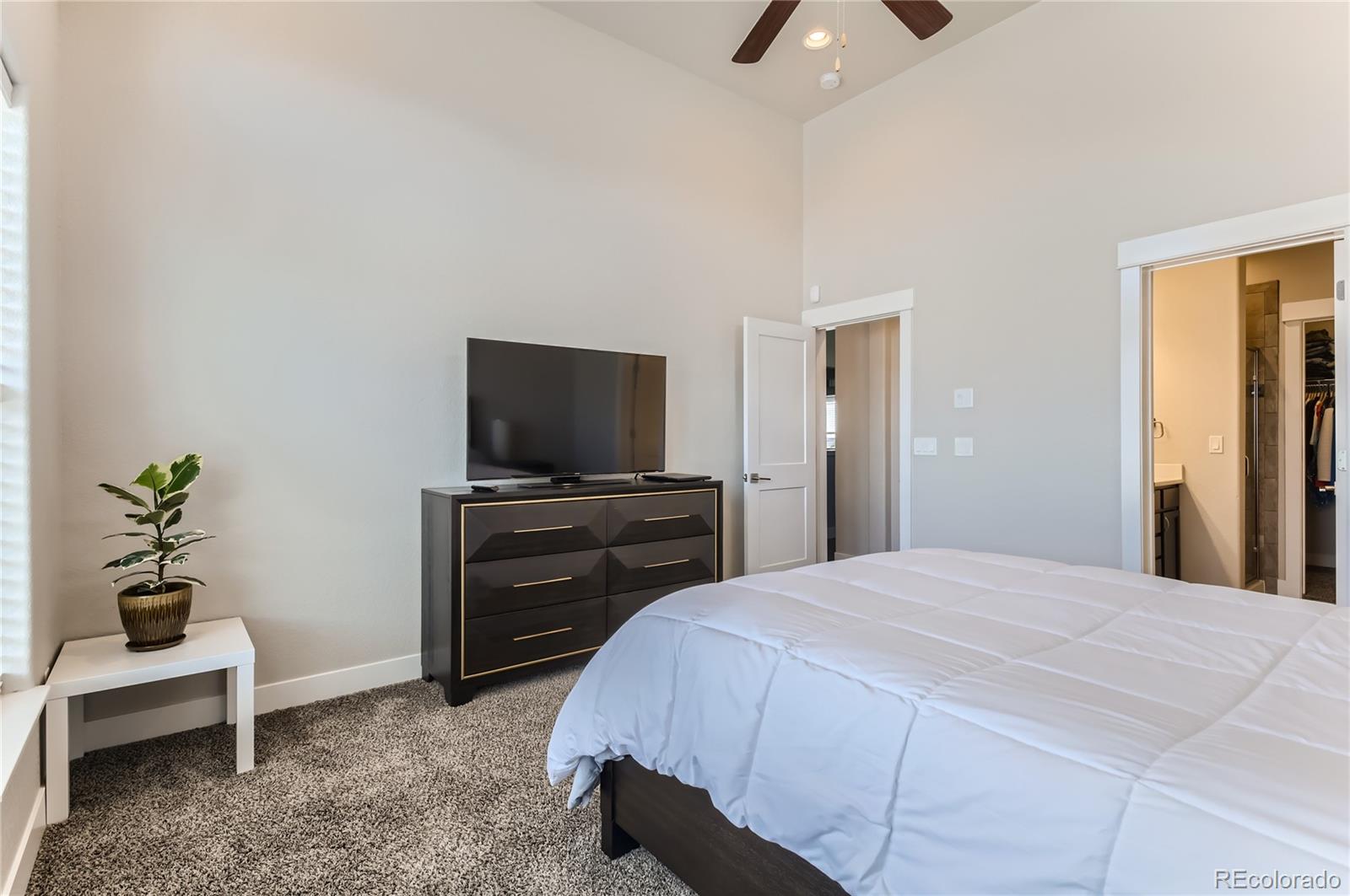 MLS Image #10 for 6839  black saddle drive,colorado springs, Colorado