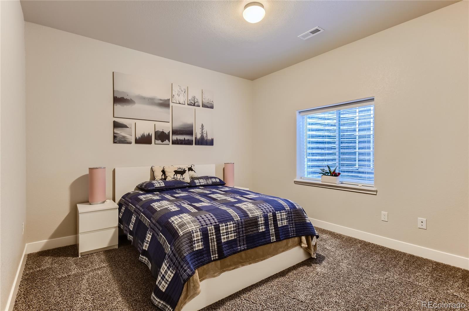 MLS Image #17 for 6839  black saddle drive,colorado springs, Colorado