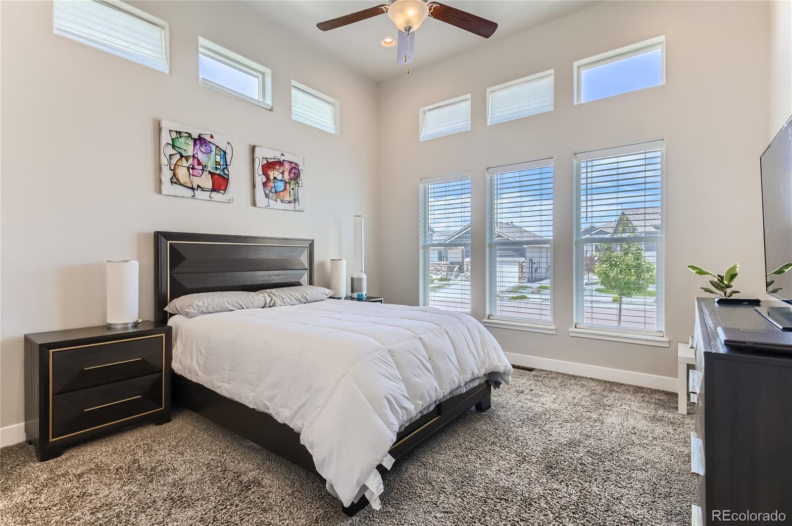 MLS Image #9 for 6839  black saddle drive,colorado springs, Colorado