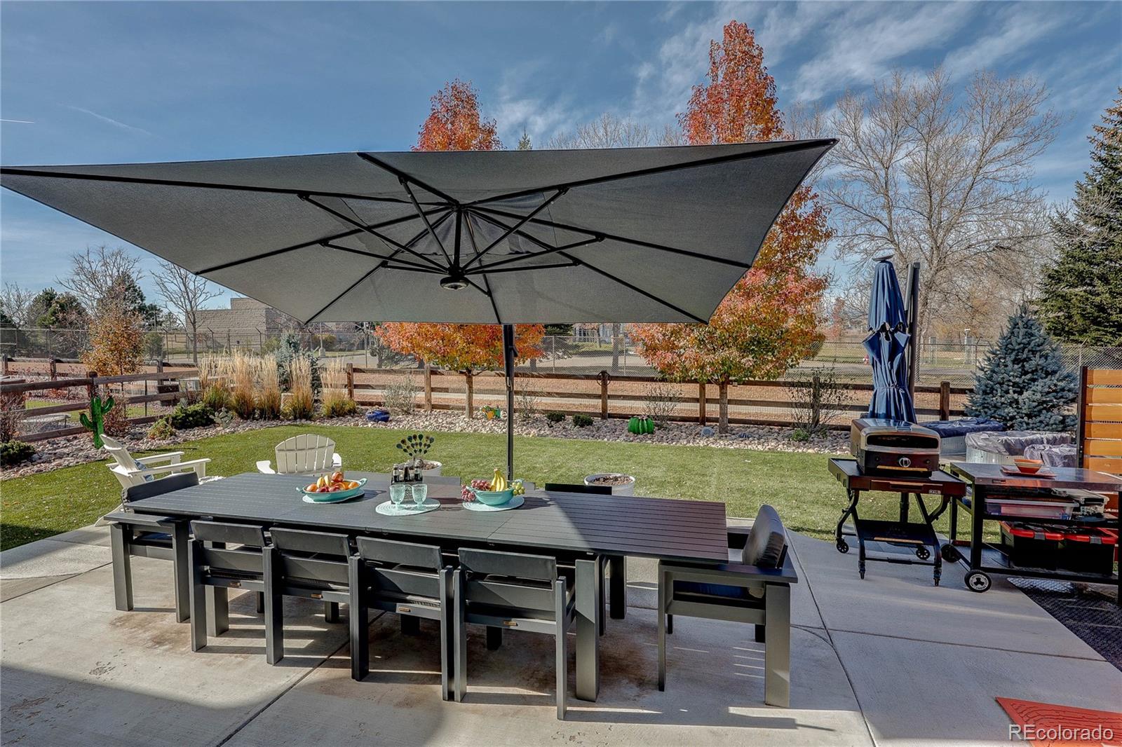 MLS Image #14 for 1032  marfell street,erie, Colorado