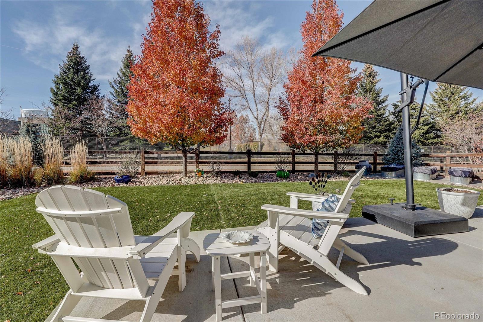 MLS Image #2 for 1032  marfell street,erie, Colorado
