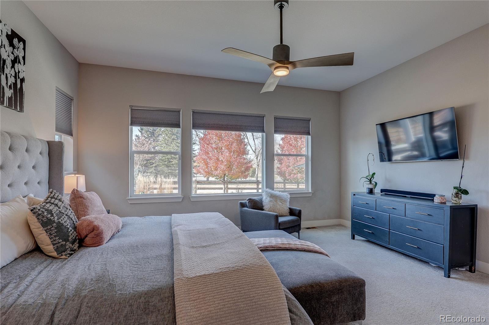 MLS Image #22 for 1032  marfell street,erie, Colorado