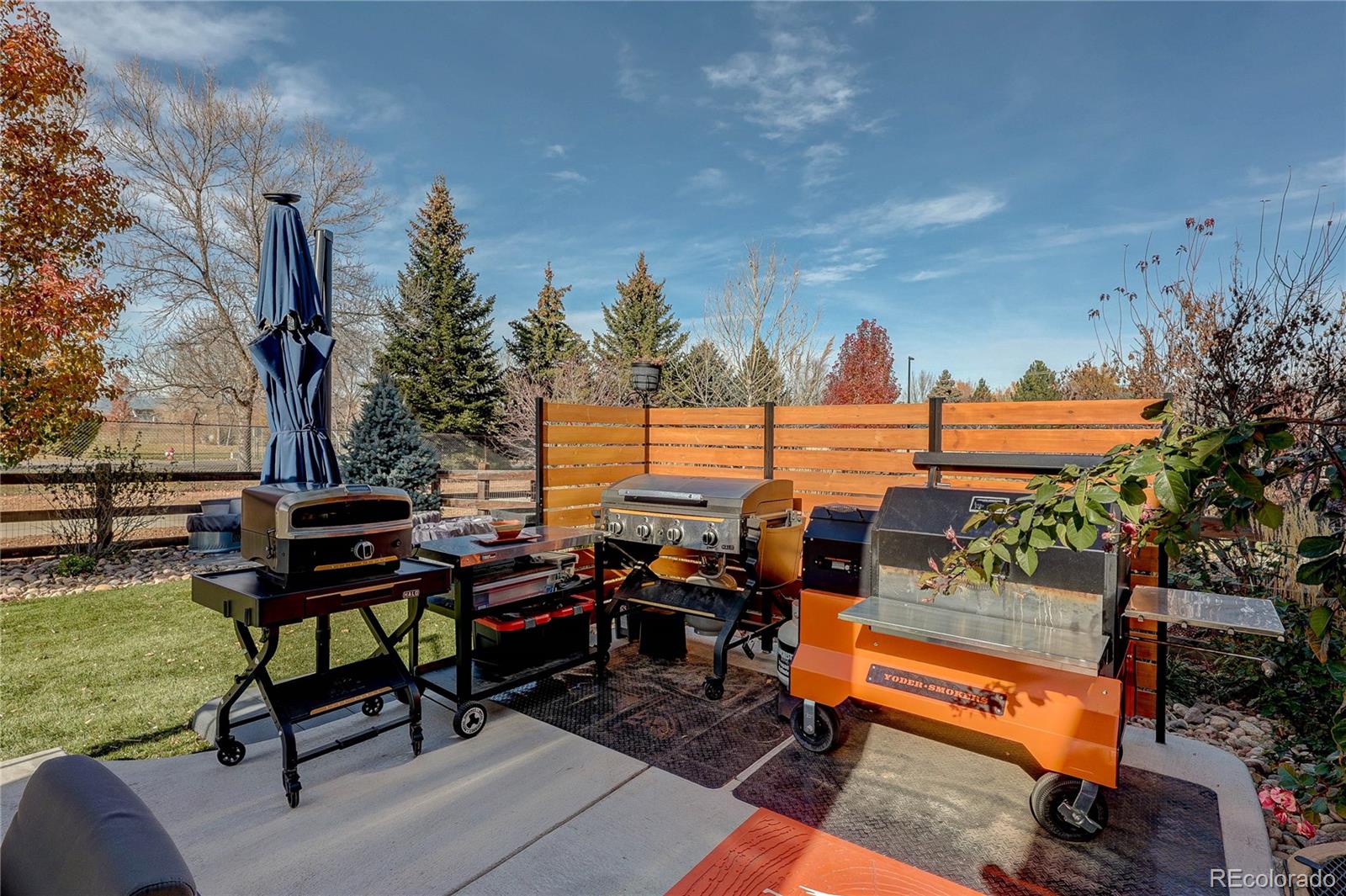 MLS Image #3 for 1032  marfell street,erie, Colorado