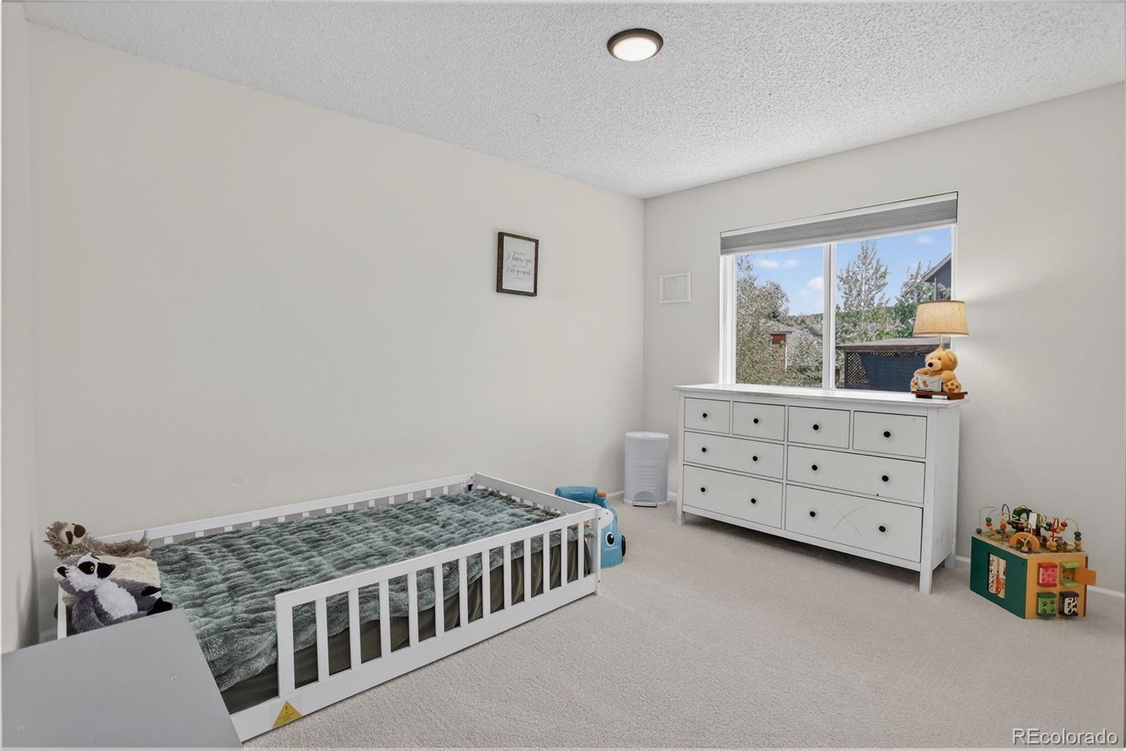 MLS Image #30 for 15205  chelmsford street,colorado springs, Colorado
