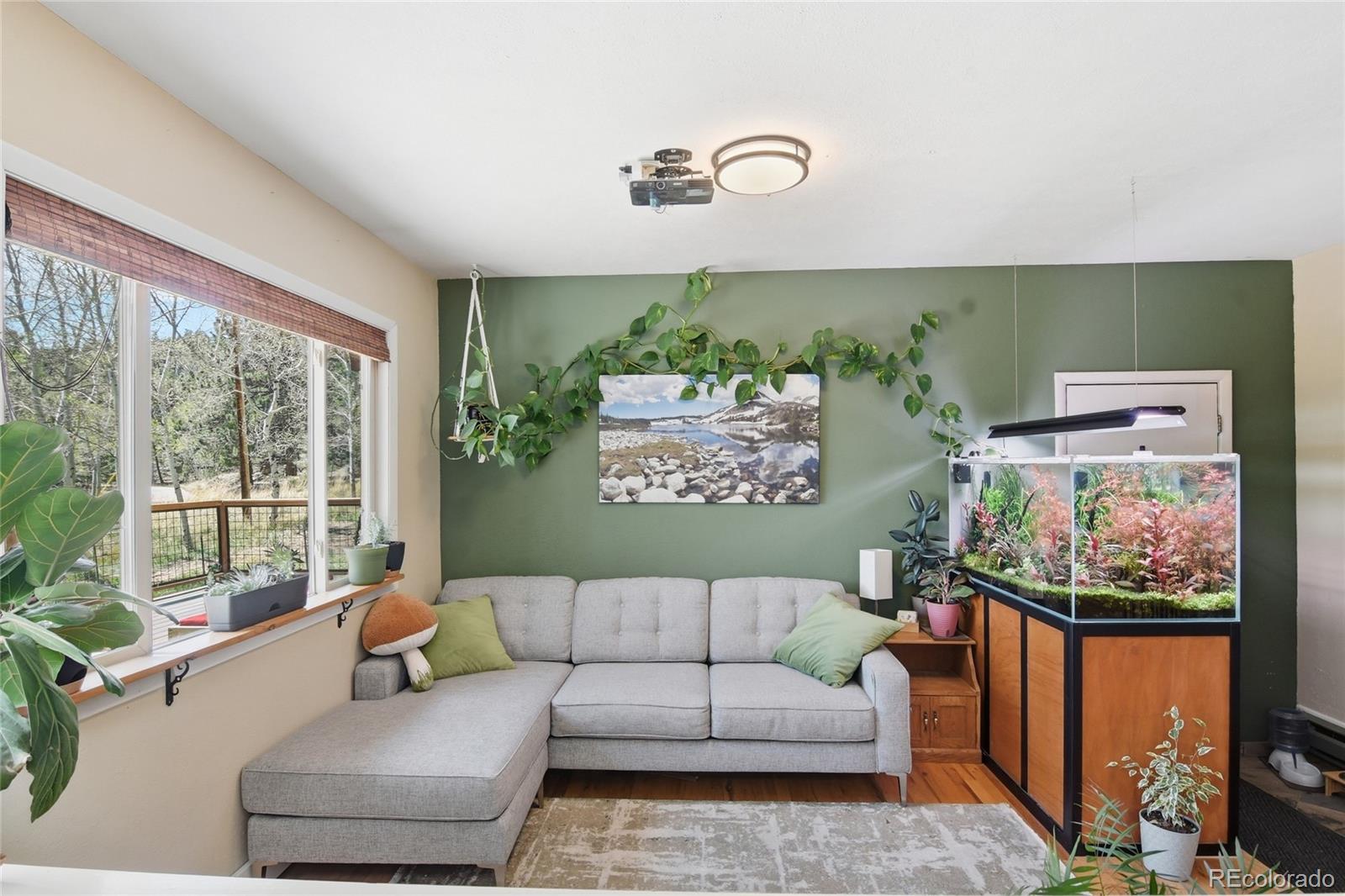 MLS Image #10 for 31280  florence road,conifer, Colorado