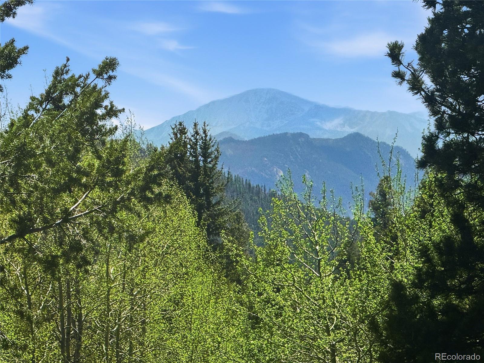 MLS Image #27 for 31280  florence road,conifer, Colorado
