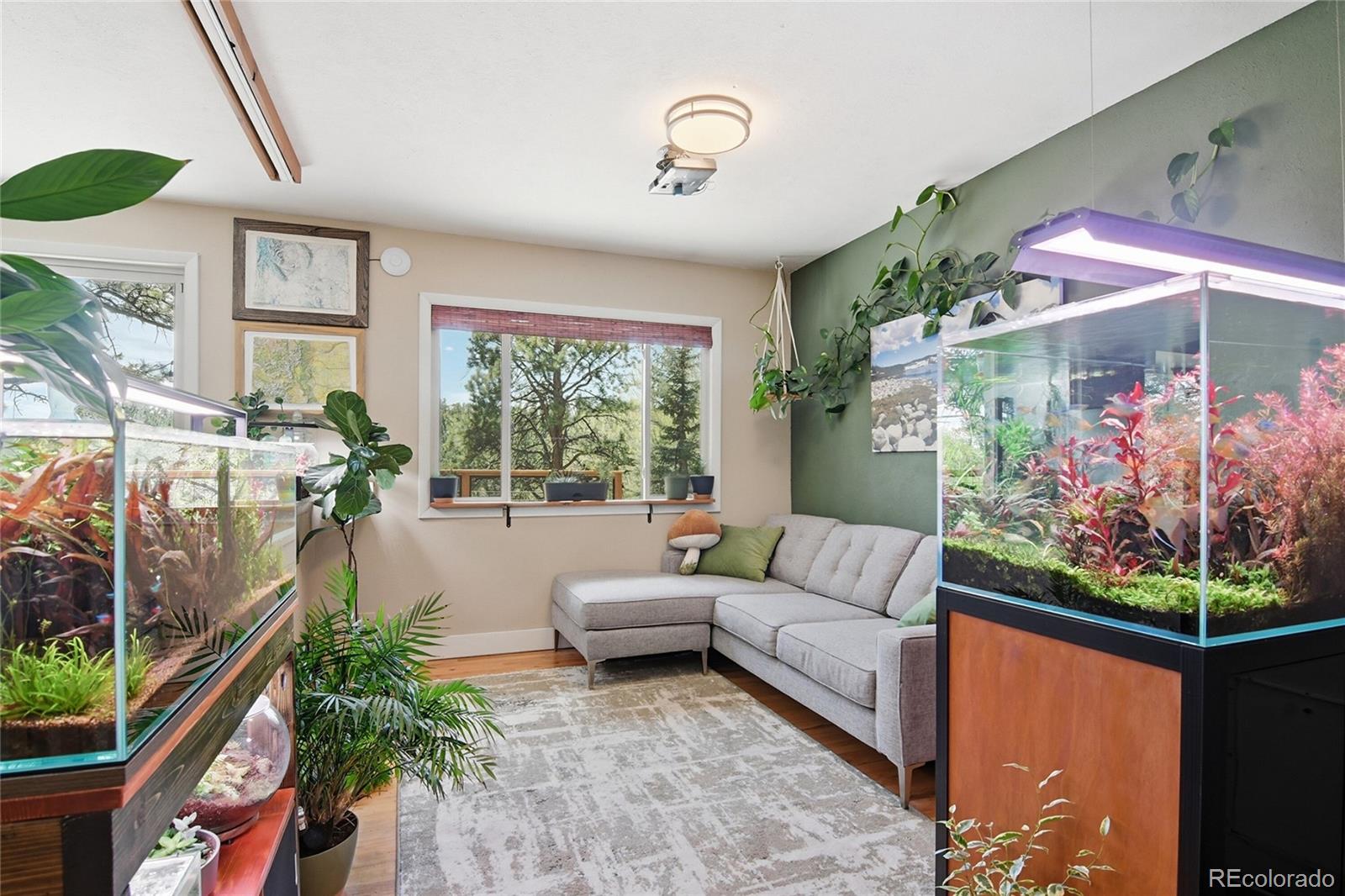 MLS Image #9 for 31280  florence road,conifer, Colorado