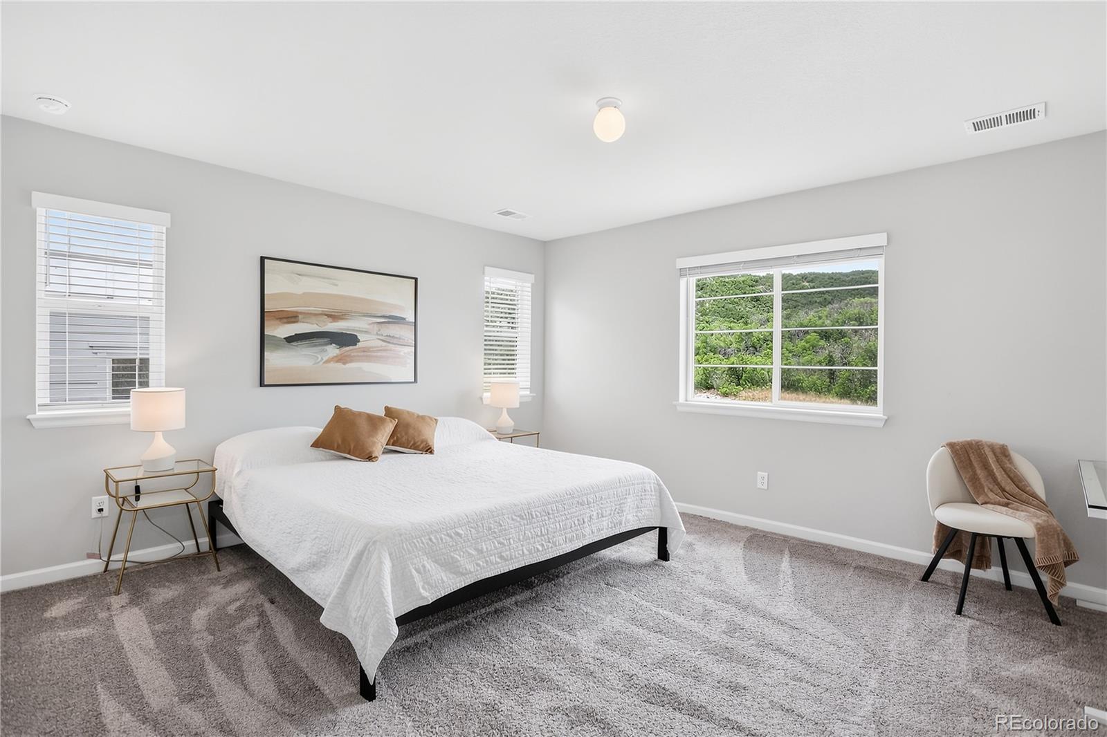 MLS Image #19 for 943  oleander street,castle rock, Colorado