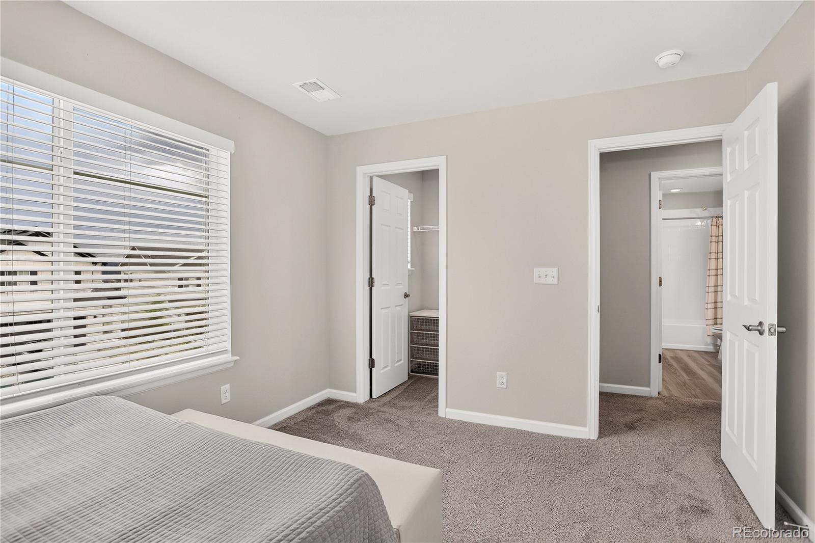 MLS Image #29 for 943  oleander street,castle rock, Colorado