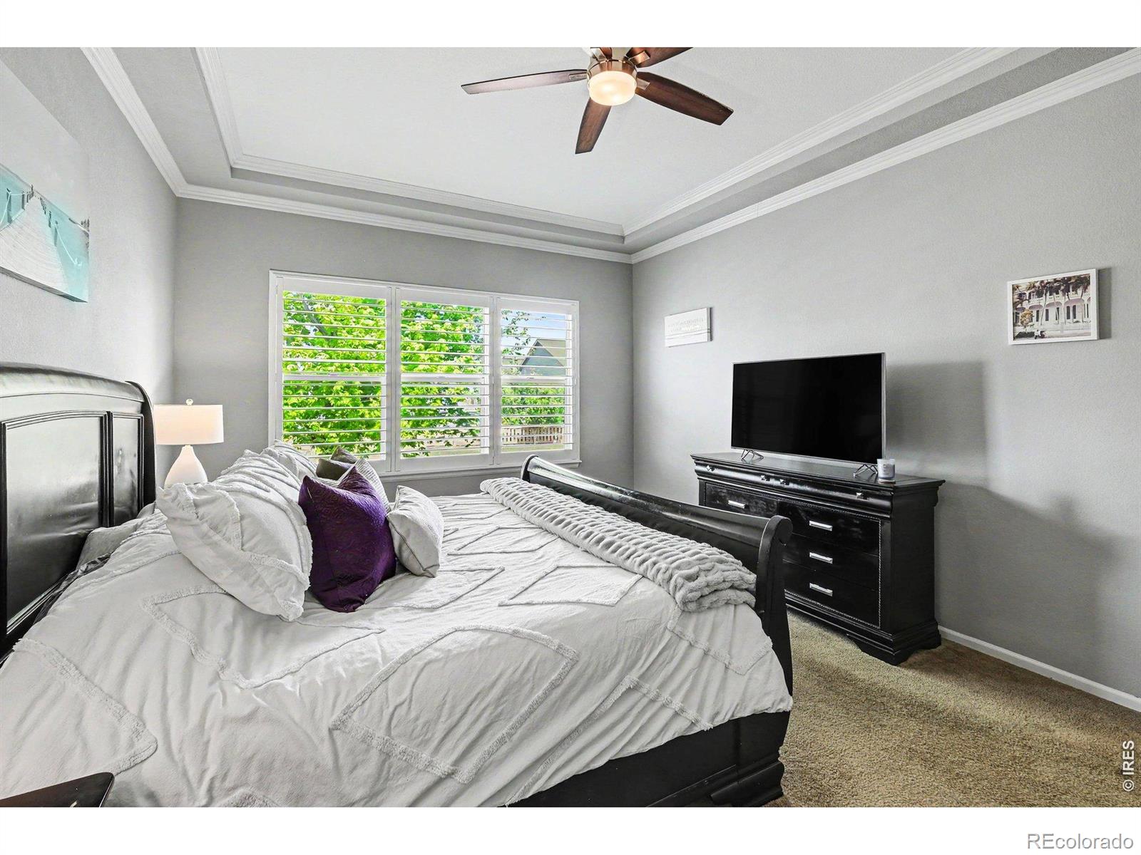 MLS Image #11 for 5481  lulu city drive,timnath, Colorado