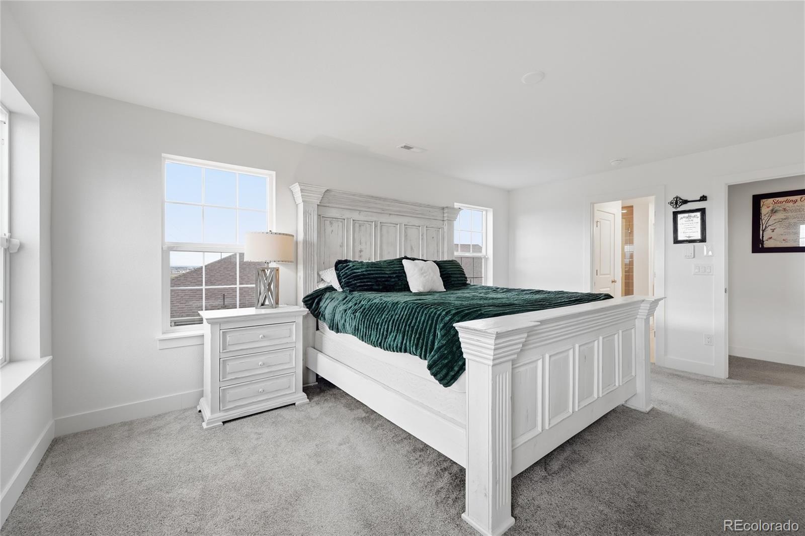 MLS Image #25 for 3309  bluestem street,dacono, Colorado