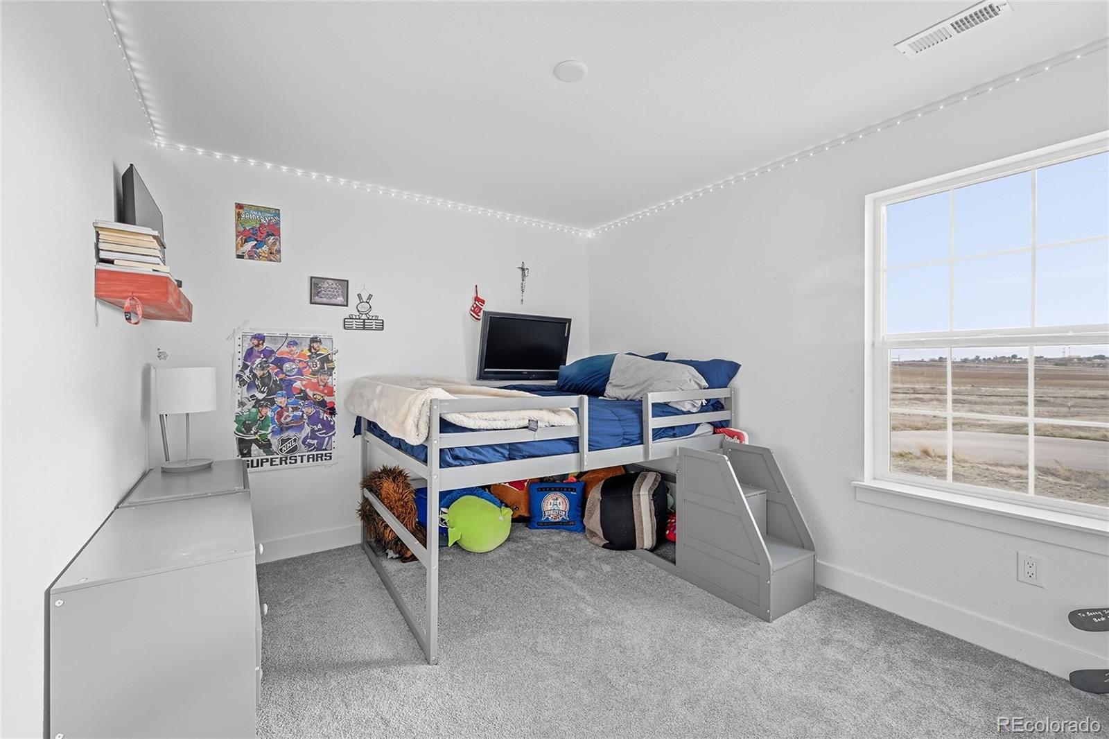 MLS Image #29 for 3309  bluestem street,dacono, Colorado