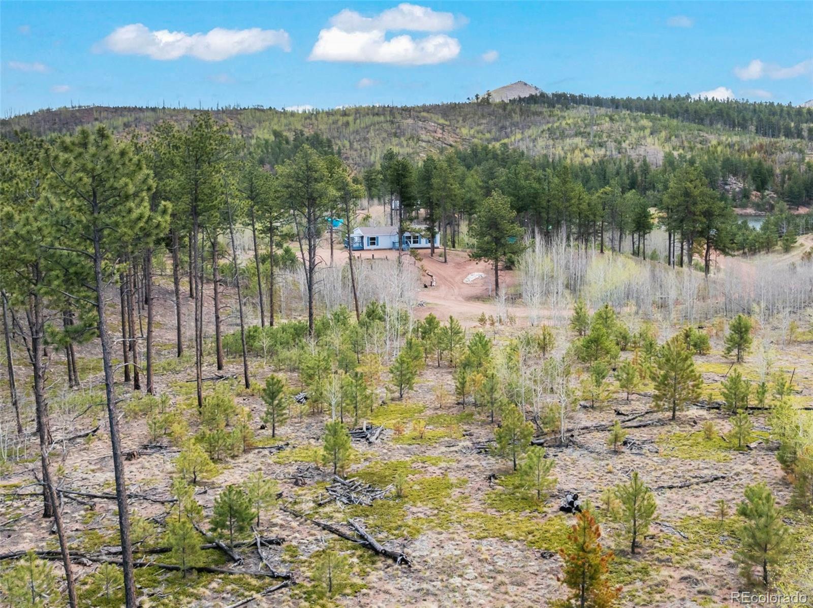 MLS Image #10 for 100  wolverine drive,florissant, Colorado