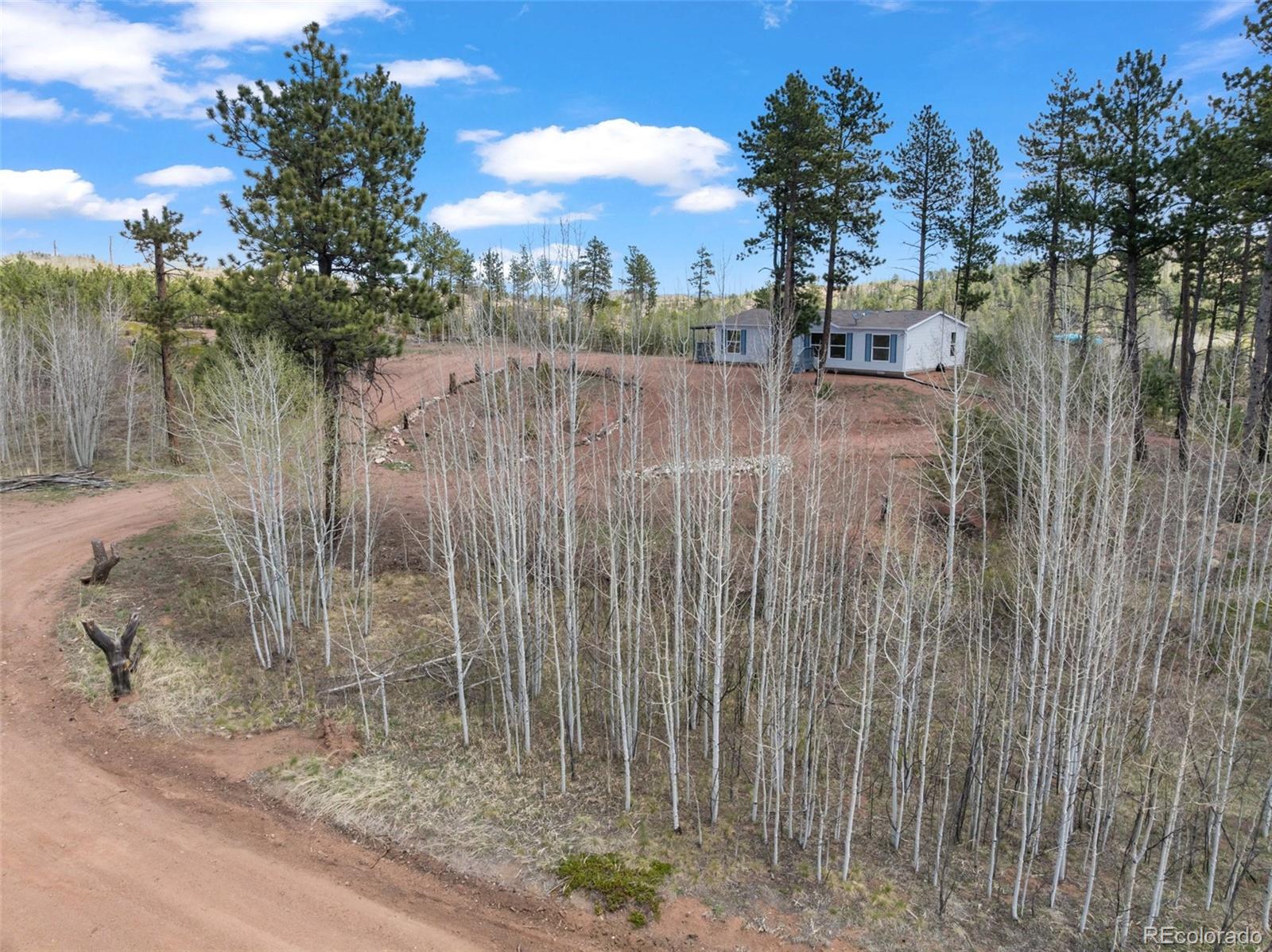 MLS Image #11 for 100  wolverine drive,florissant, Colorado