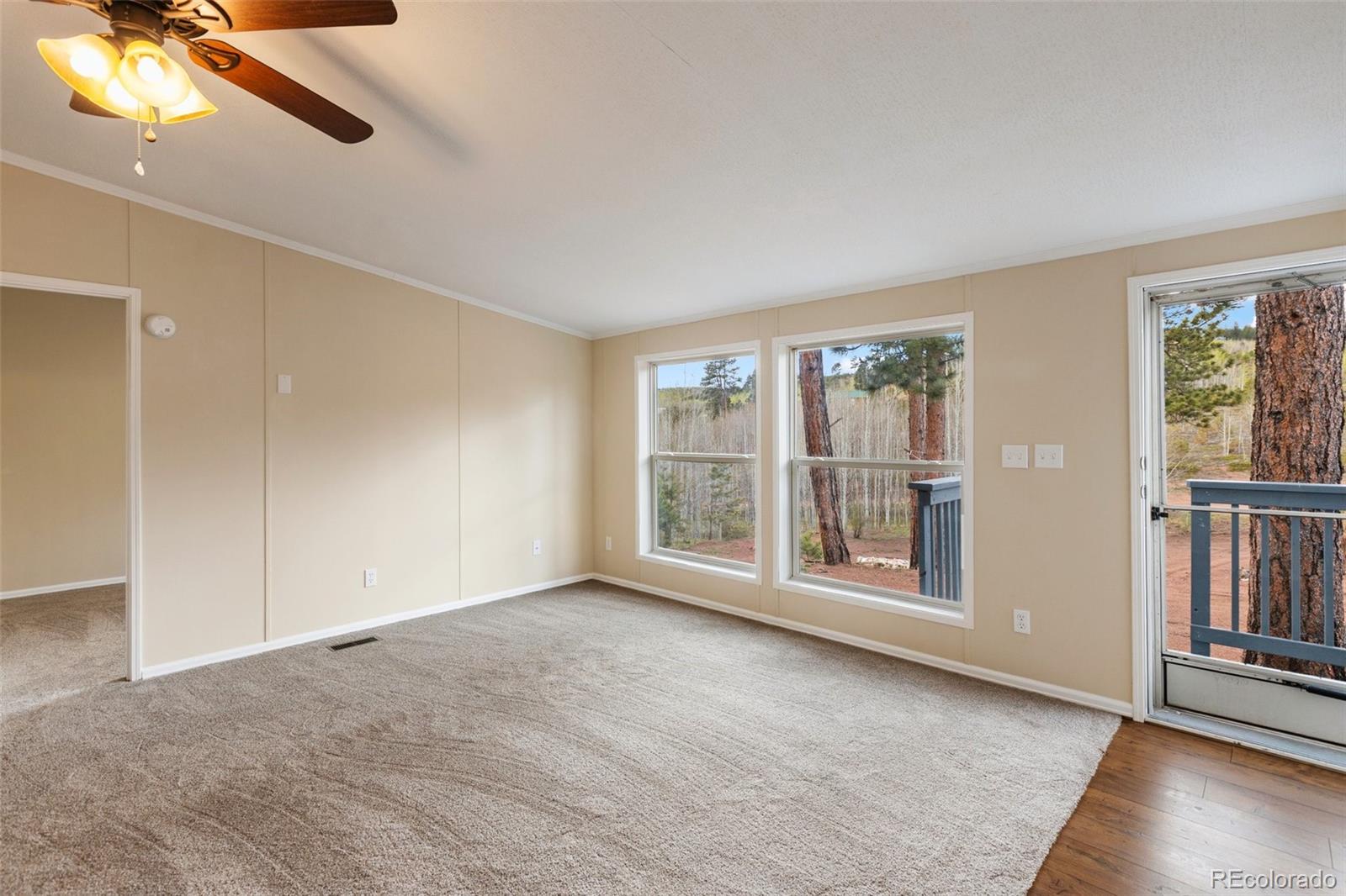 MLS Image #12 for 100  wolverine drive,florissant, Colorado
