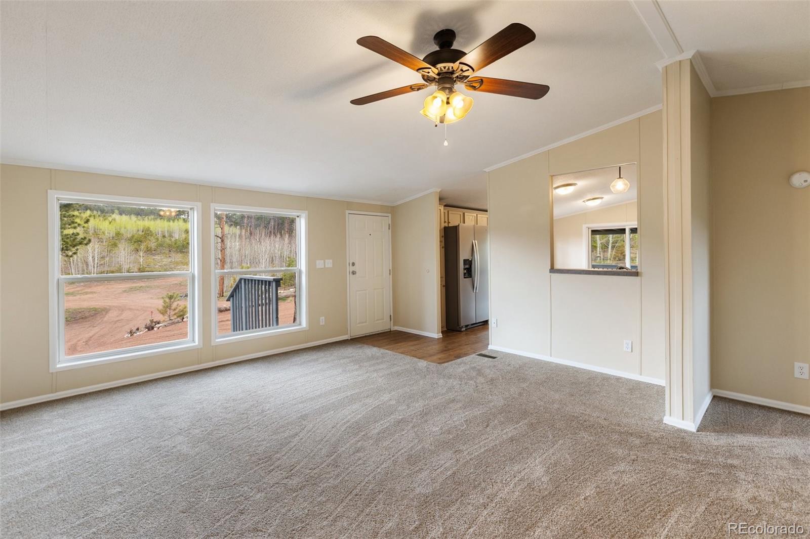 MLS Image #14 for 100  wolverine drive,florissant, Colorado