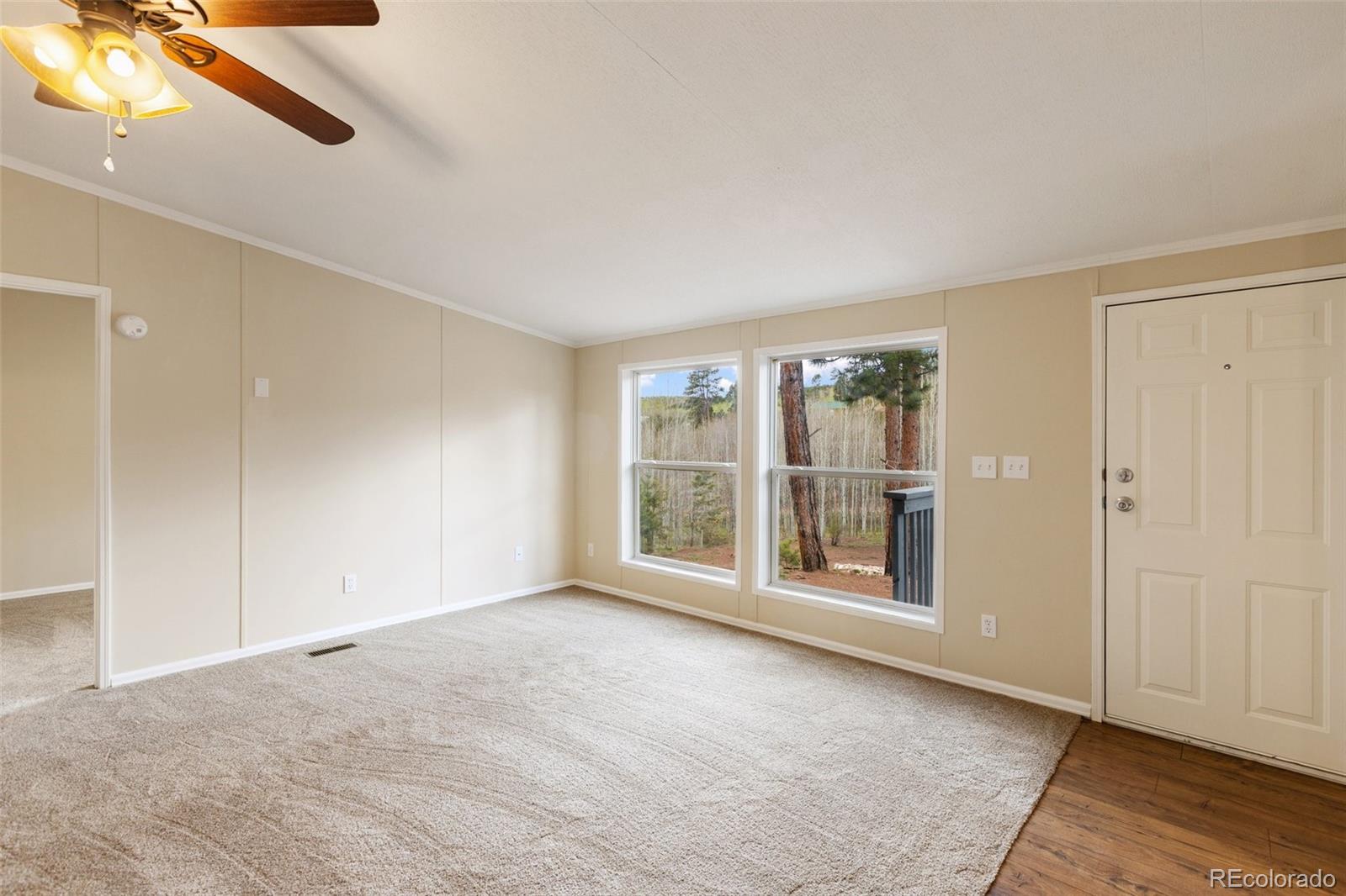 MLS Image #17 for 100  wolverine drive,florissant, Colorado