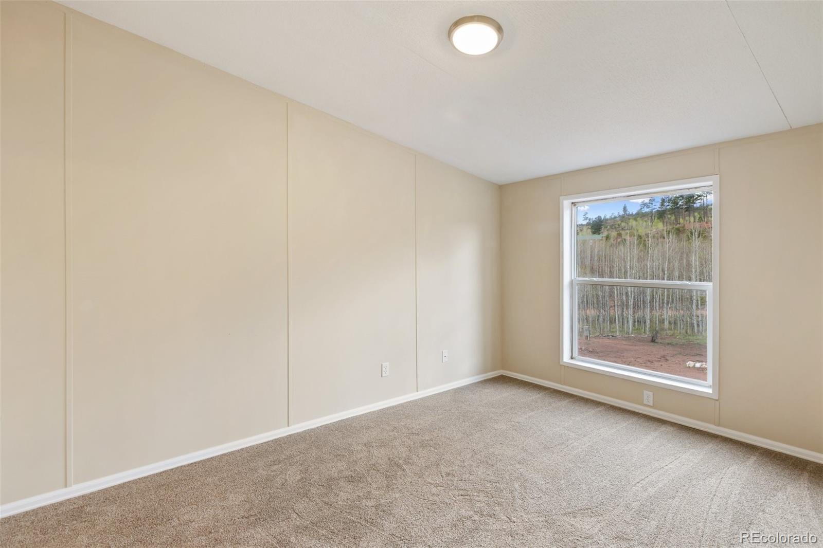 MLS Image #33 for 100  wolverine drive,florissant, Colorado