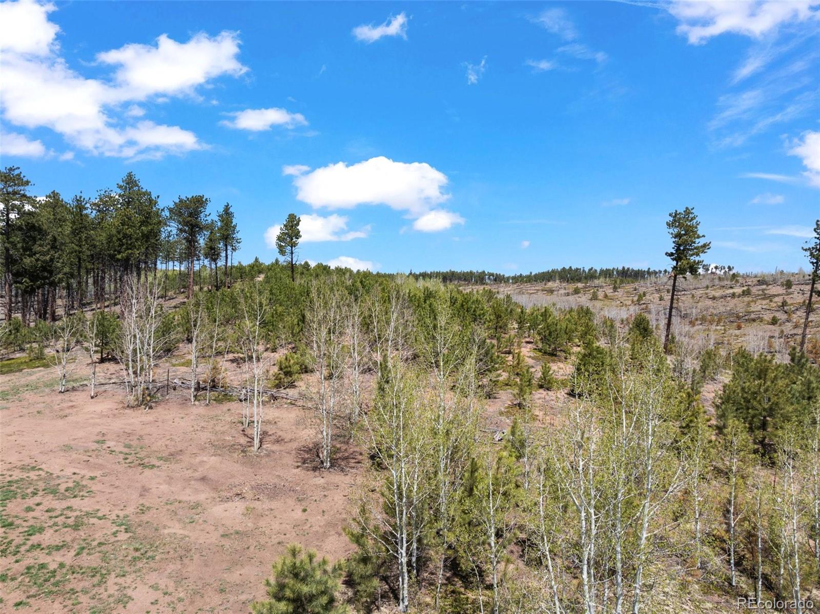 MLS Image #46 for 100  wolverine drive,florissant, Colorado