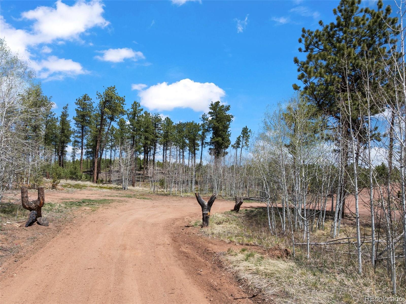 MLS Image #5 for 100  wolverine drive,florissant, Colorado