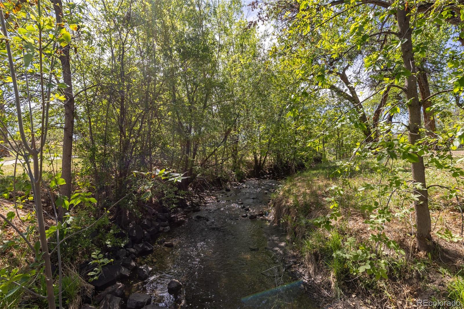 MLS Image #28 for 6110  brooks drive,arvada, Colorado