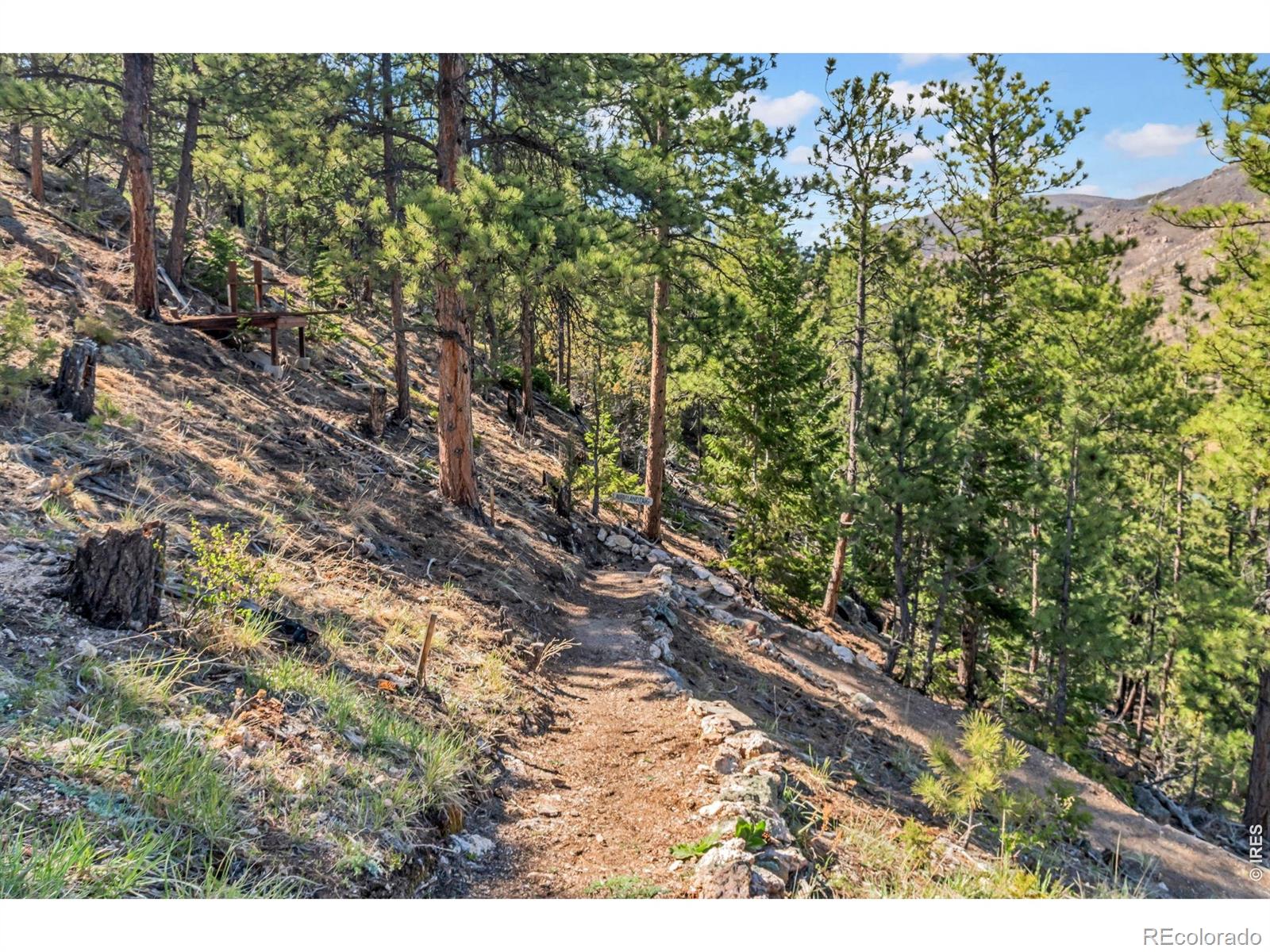 MLS Image #28 for 500  bulwark ridge drive,glen haven, Colorado