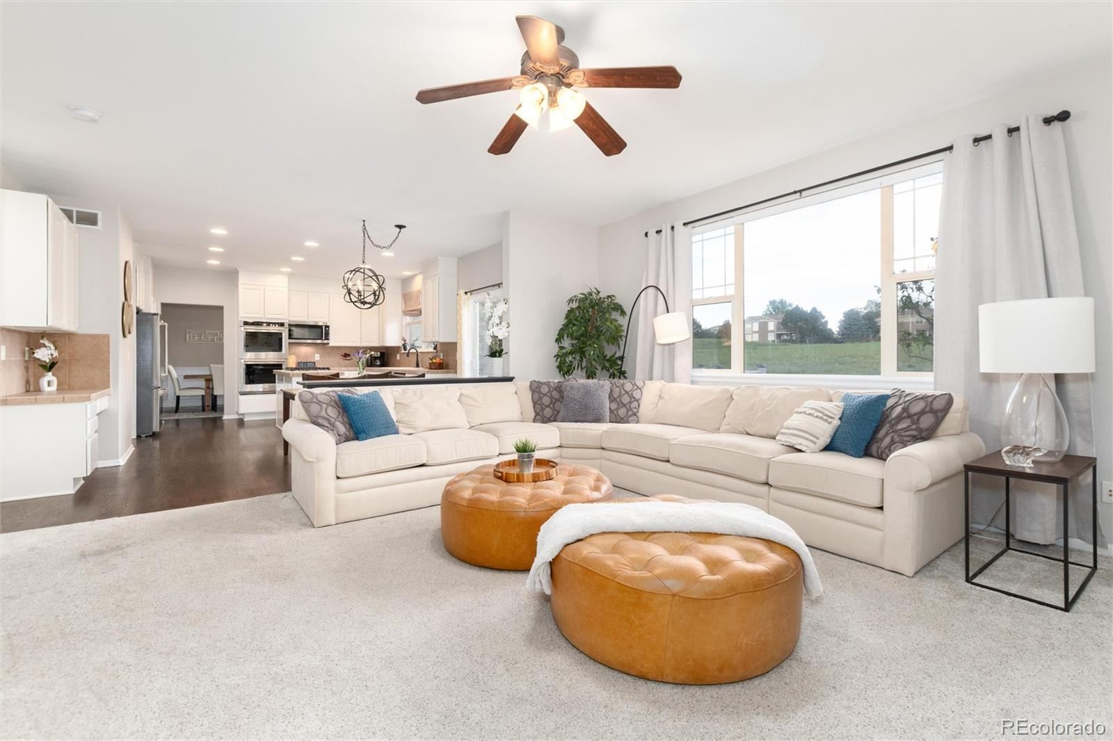 MLS Image #20 for 3678  sunridge terrace drive,castle rock, Colorado