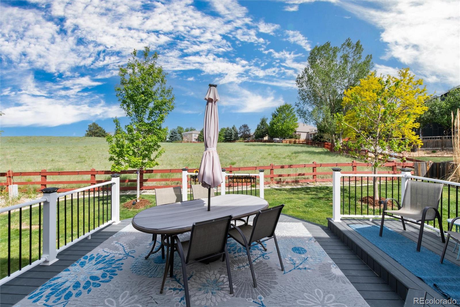 MLS Image #38 for 3678  sunridge terrace drive,castle rock, Colorado
