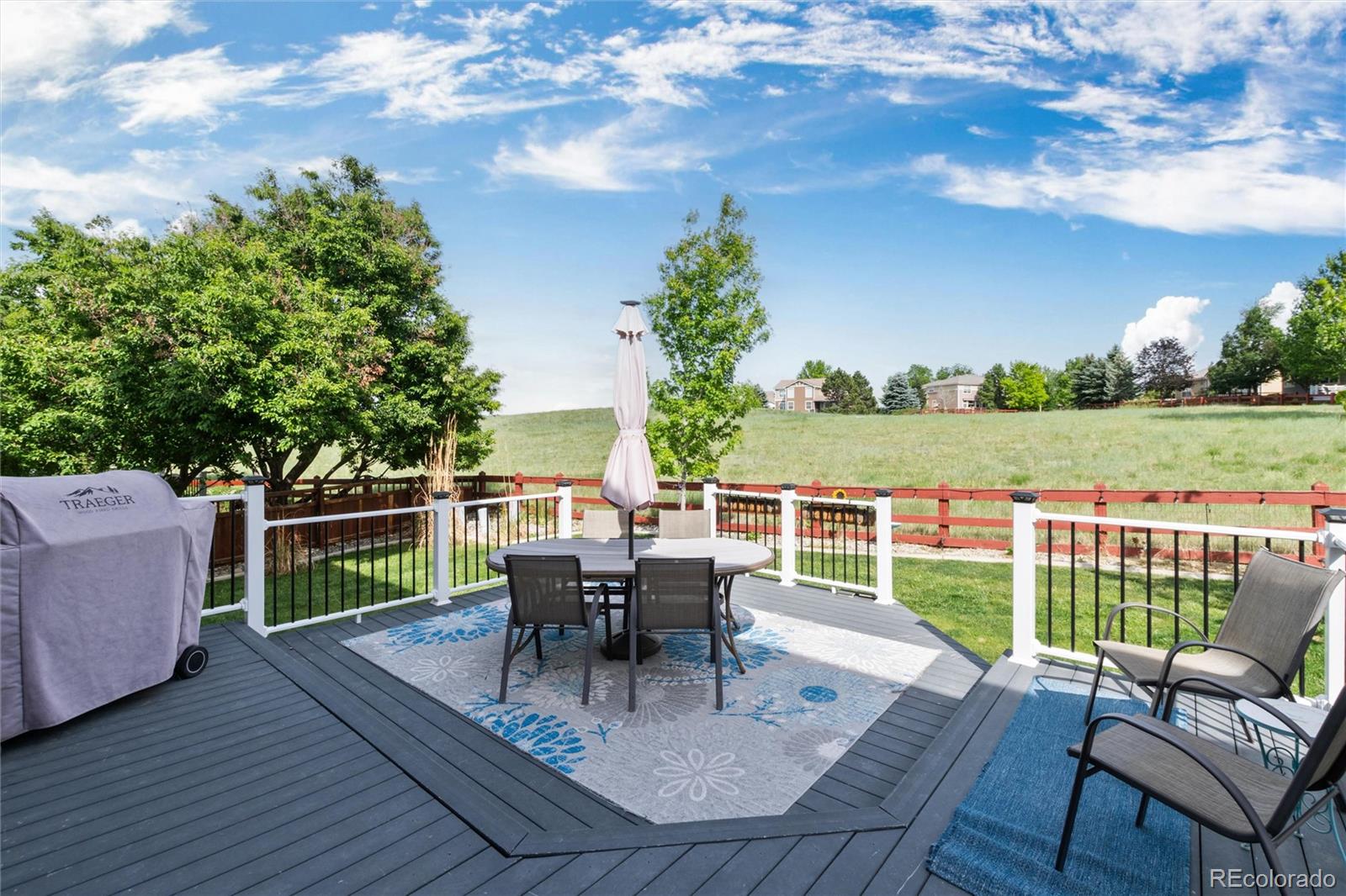 MLS Image #39 for 3678  sunridge terrace drive,castle rock, Colorado