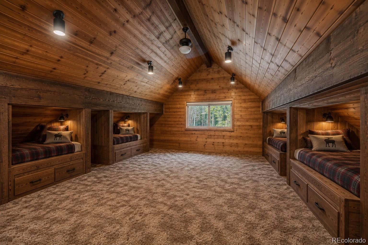 MLS Image #15 for 2443  empire valley drive,leadville, Colorado