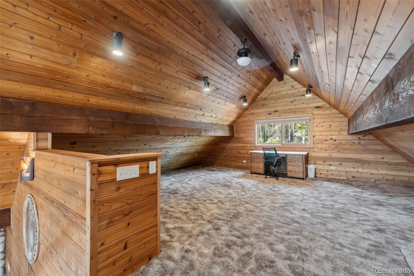 MLS Image #16 for 2443  empire valley drive,leadville, Colorado