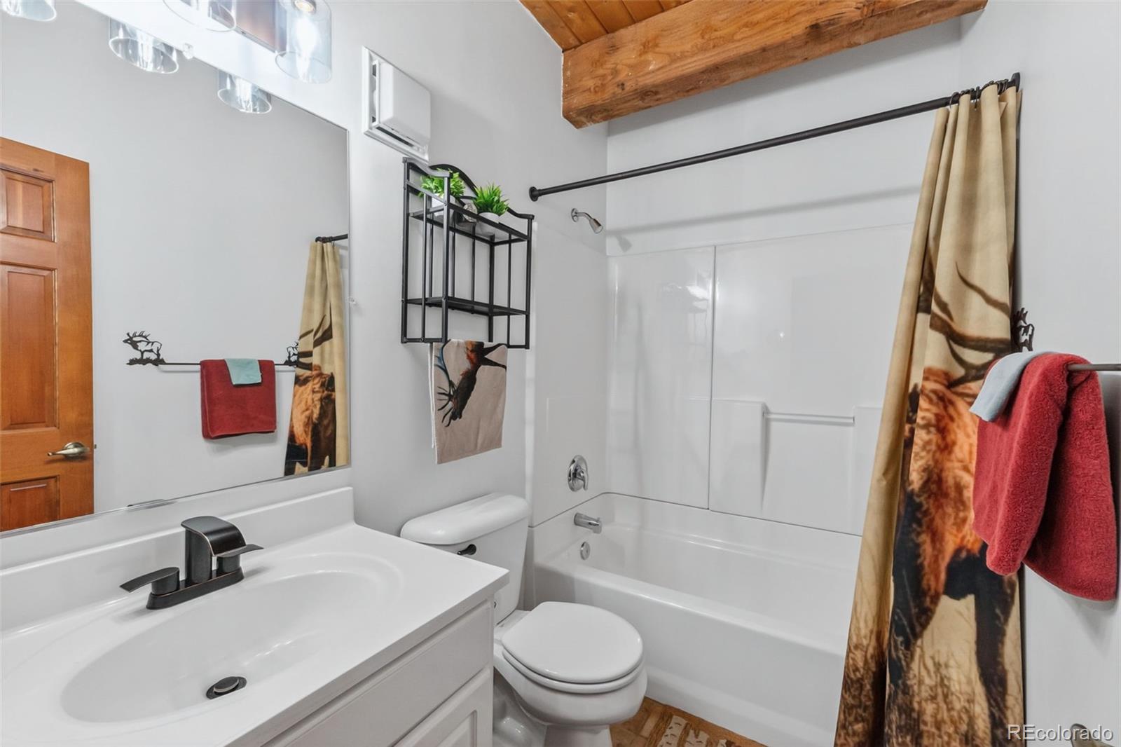 MLS Image #19 for 2443  empire valley drive,leadville, Colorado