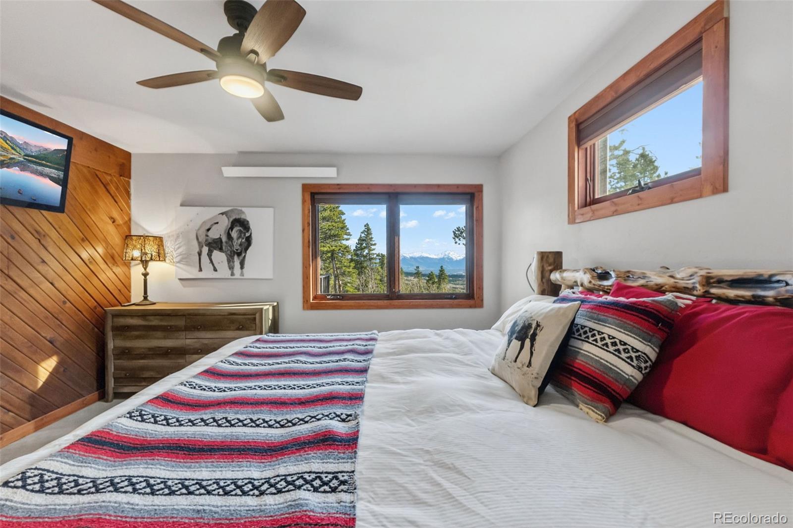 MLS Image #21 for 2443  empire valley drive,leadville, Colorado