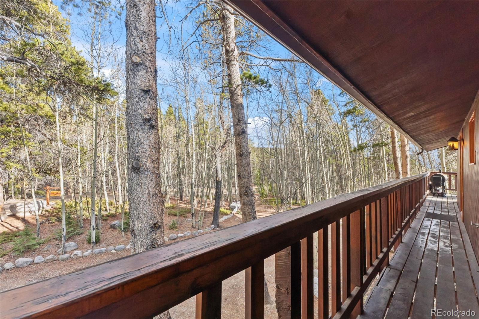 MLS Image #34 for 2443  empire valley drive,leadville, Colorado