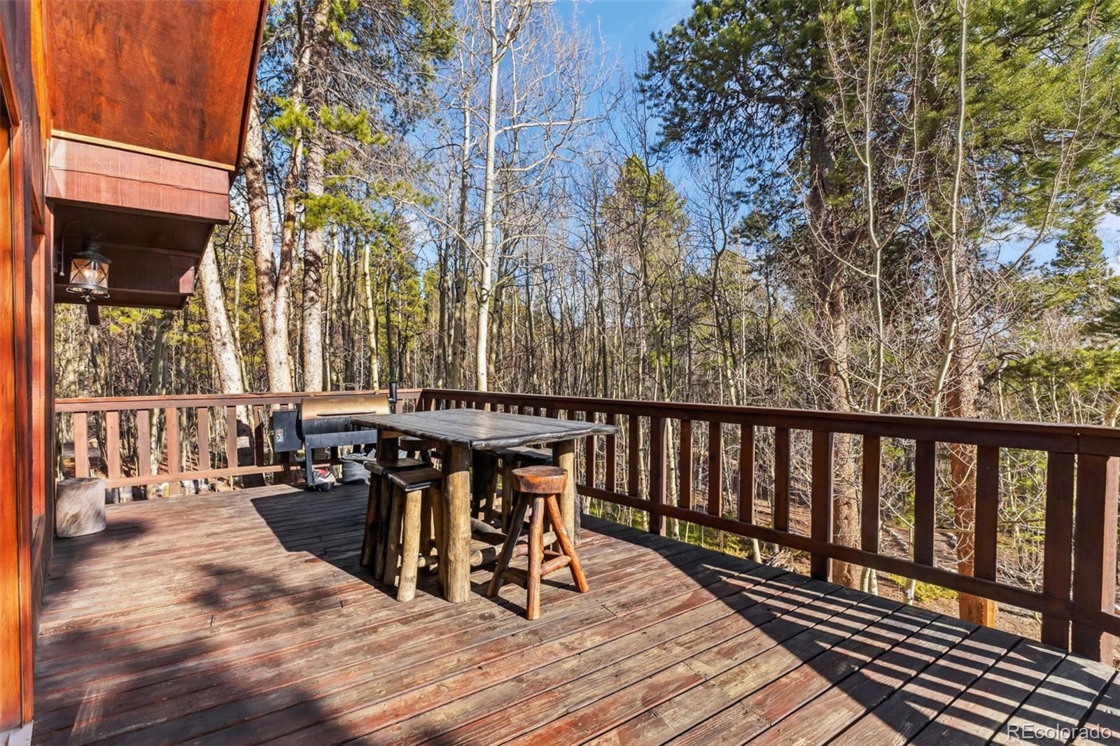 MLS Image #35 for 2443  empire valley drive,leadville, Colorado