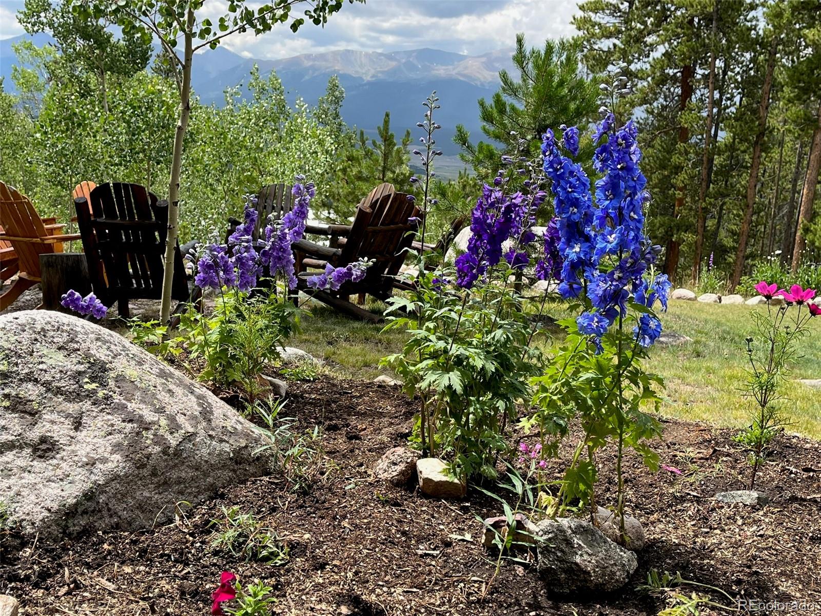 MLS Image #45 for 2443  empire valley drive,leadville, Colorado