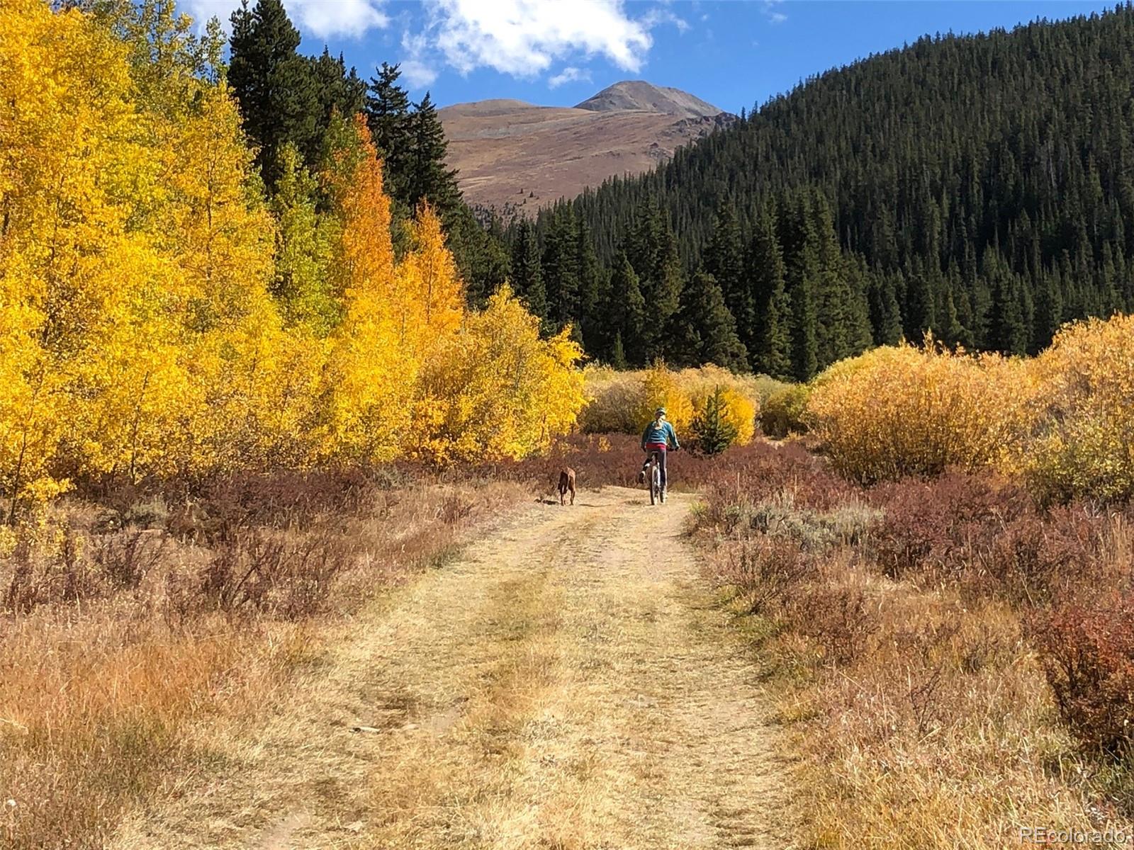 MLS Image #49 for 2443  empire valley drive,leadville, Colorado