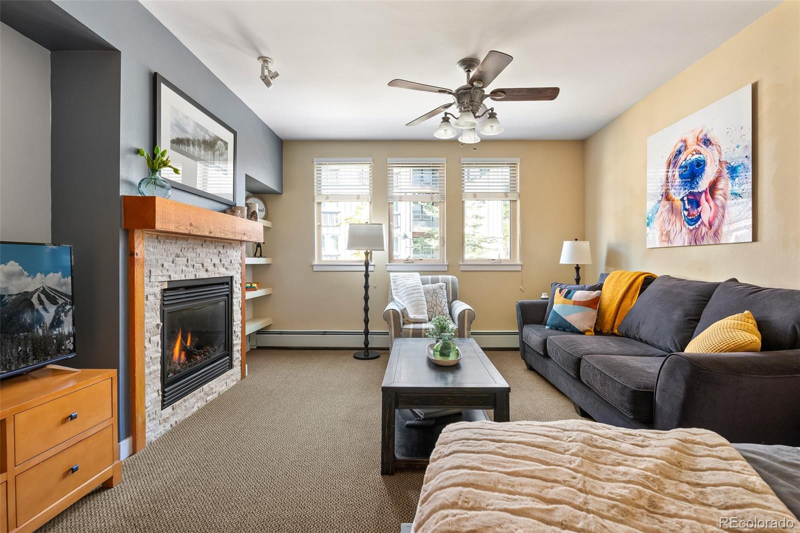 MLS Image #7 for 580  winter park drive,winter park, Colorado