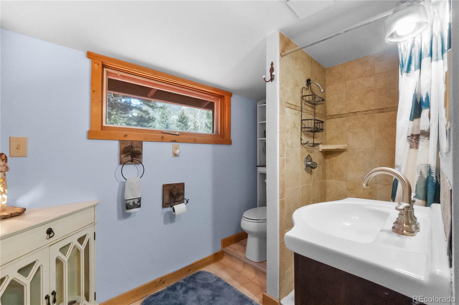 MLS Image #18 for 48  linn circle,evergreen, Colorado